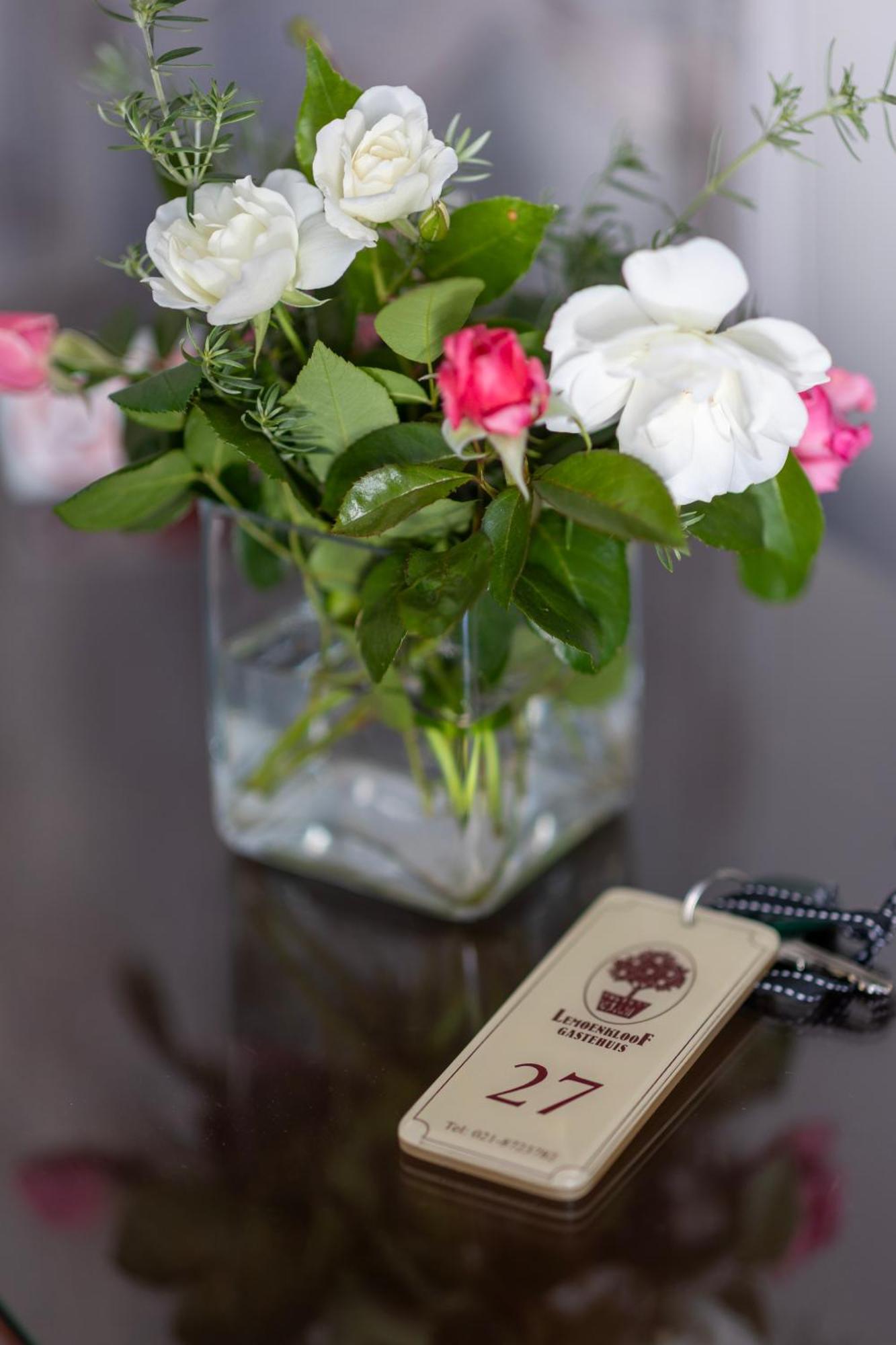 Lemoenkloof Boutique Hotel Paarl Zewnętrze zdjęcie